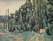 Paul Cezanne The Poplars oil